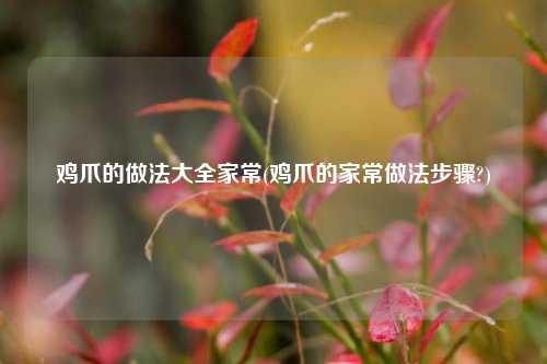 鸡爪的做法大全家常(鸡爪的家常做法步骤?)
