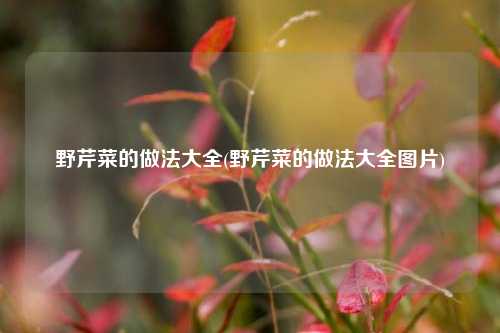 野芹菜的做法大全(野芹菜的做法大全图片)