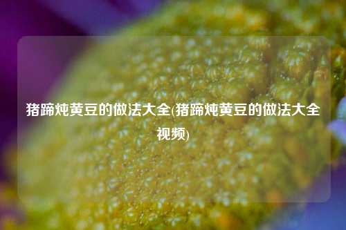 猪蹄炖黄豆的做法大全(猪蹄炖黄豆的做法大全视频)