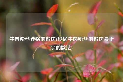 牛肉粉丝砂锅的做法(砂锅牛肉粉丝的做法最正宗的做法)