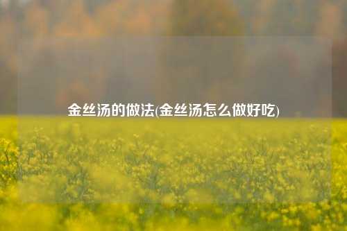 金丝汤的做法(金丝汤怎么做好吃)