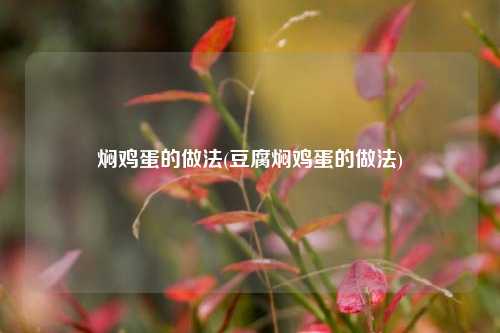 焖鸡蛋的做法(豆腐焖鸡蛋的做法)