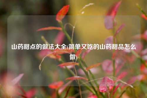 山药甜点的做法大全(简单又吃的山药甜品怎么做)