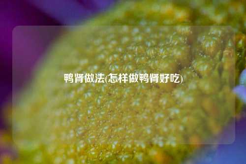 鸭肾做法(怎样做鸭肾好吃)