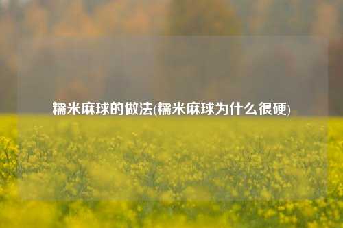 糯米麻球的做法(糯米麻球为什么很硬)