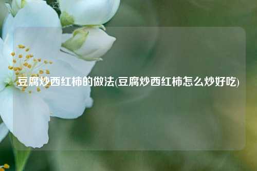 豆腐炒西红柿的做法(豆腐炒西红柿怎么炒好吃)