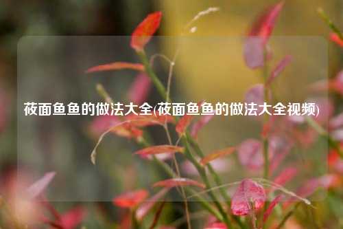 莜面鱼鱼的做法大全(莜面鱼鱼的做法大全视频)