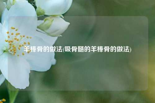 羊棒骨的做法(吸骨髓的羊棒骨的做法)