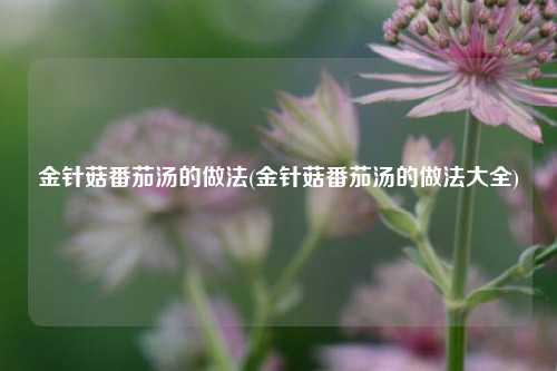 金针菇番茄汤的做法(金针菇番茄汤的做法大全)