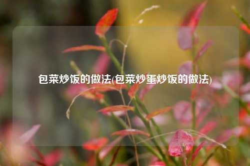 包菜炒饭的做法(包菜炒蛋炒饭的做法)